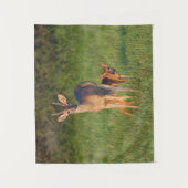 Witstaarster | Grassy Habitat Wandkleed (Voorkant)