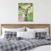 Witstaarster | Hill Country, Texas Canvas Afdruk (Insitu (Slaapkamer))