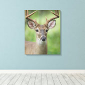 Witstaarster | Hill Country, Texas Canvas Afdruk (Insitu (Houten vloer))