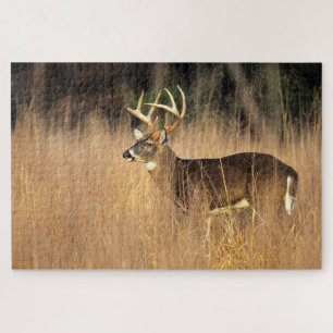 Witstaarster Smoky Mountains Tennessee Legpuzzel