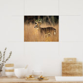 Witstaarster | Smoky Mountains Tennessee Poster (Keuken)