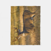 Witstaarster | South Texas Fleece Deken (Voorkant)