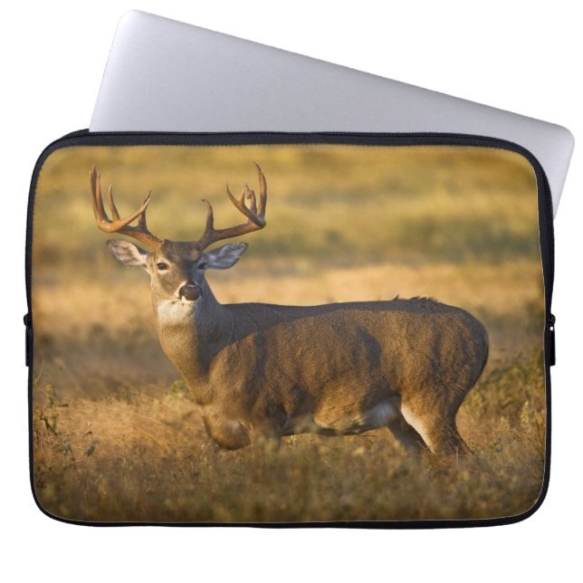 Witstaarster | South Texas Laptop Sleeve (Voorkant)