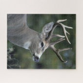 Witstaarster | Staat Washington Legpuzzel (Horizontaal)