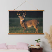 Witstaarster | State Park Choke Canyon, TX Hangend Wandkleed (Slaapkamer)