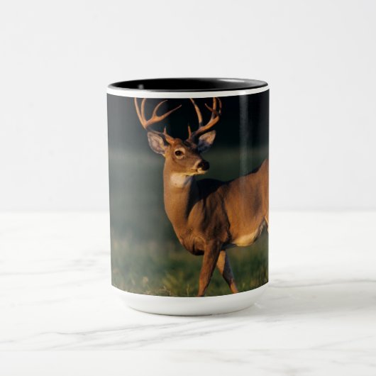 Witstaarster | State Park Choke Canyon, TX Mok (Midden)