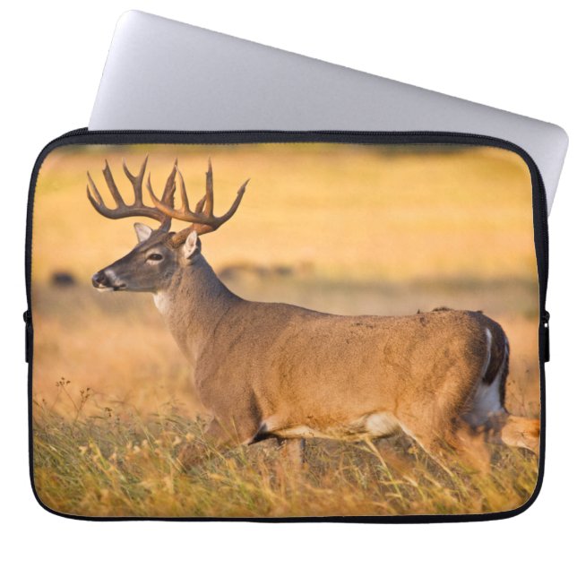 Witstaarster | Zuid-TX Laptop Sleeve (Voorkant)