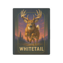 Witstaart bord