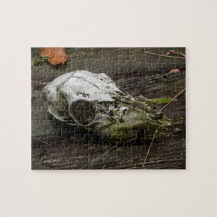 Witstaart-hertenskelet Legpuzzel