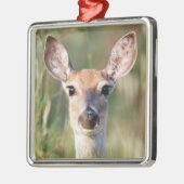 Witstaartbruin Deer Doe Metalen Ornament (Links)
