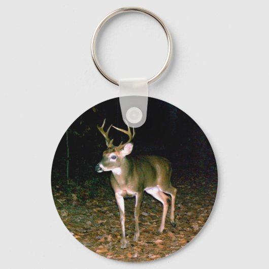 Witstaartbuck Deer Sleutelhanger (Voorkant)