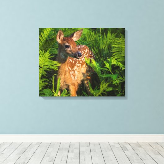 Witstaartdeer Fawn | Minnesota Canvas Afdruk (Insitu (Houten vloer))