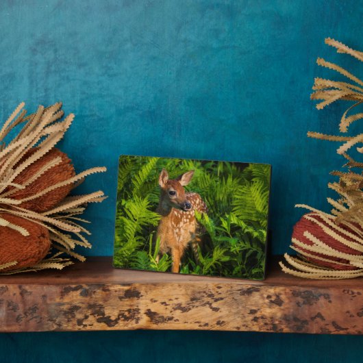 Witstaartdeer Fawn | Minnesota Fotoplaat (Zijkant)