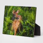 Witstaartdeer Fawn | Minnesota Fotoplaat (Zijkant)