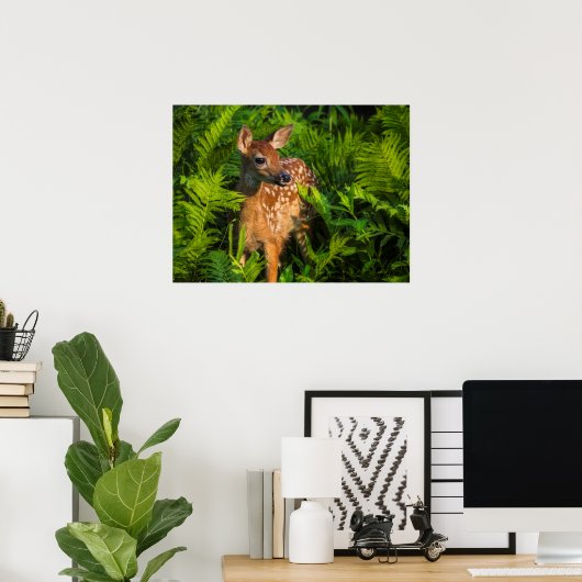 Witstaartdeer Fawn | Minnesota Poster (Thuiskantoor)