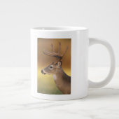 Witstaartdeer, Odocoileus virginianus, Jumbo Mok (Rechts)