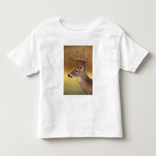 Witstaartdeer, Odocoileus virginianus, Kinder Shirts (Voorkant)