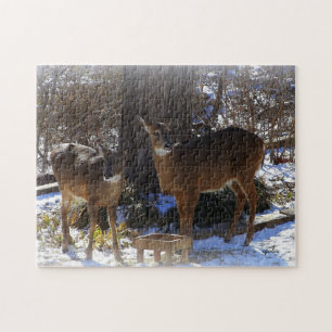 Witstaarthert 11x14 Foto Puzzel met Cadeau Doos