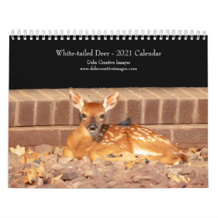 Witstaarthert 2021 Agenda Kalender