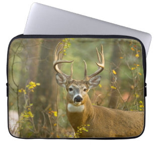 Witstaarthert Buck Whitefish, Montana Laptop Sleeve