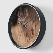 Witstaarthert |  Choke Canyon State Park, TX (Hoek)