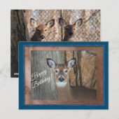 Witstaarthert Hartelijke Verjaardag Briefkaart (Voorkant / Achterkant)