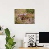 Witstaarthert Herfst in Texas Poster (Thuiskantoor)