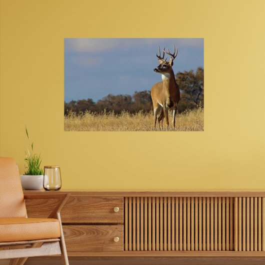 Witstaarthert ingelijste print (Woonkamer 2)