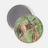 Witstaarthert met Fawn Magneet (Voorkant / Achterkant)