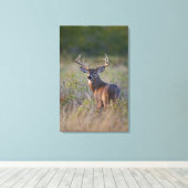 witstaarthert Odocoileus virginianus Canvas Afdruk (Insitu (Houten vloer))