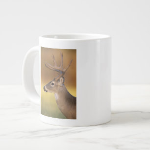 Witstaarthert, Odocoileus virginianus, Jumbo Mok