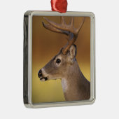Witstaarthert, Odocoileus virginianus, Metalen Ornament (Rechts)