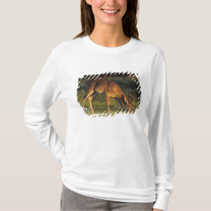 Witstaarthert, Odocoileus virginianus T-shirt