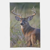 witstaarthert Odocoileus virginianus Theedoek (Verticaal)