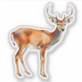 Witstaarthert Sticker (Voorkant)