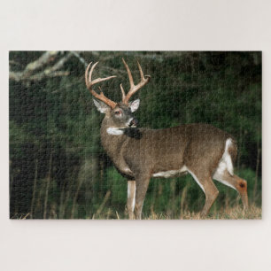 Witstaarthert Tennessee Legpuzzel