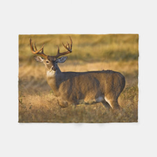 Witstaarthert Zuid-Texas Fleece Deken