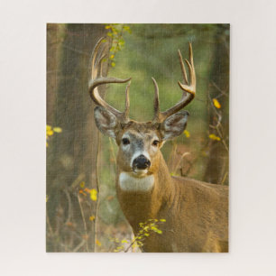 Witstaarthertenbok Whitefish, Montana Legpuzzel