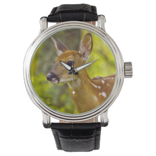 Witstaarthertenkalf in Whitefish, Montana, VS Horloge