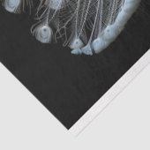 Witstaartpauw Decoage Tissuepapier (Detail)