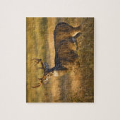 Witstaartslang (Odocoileus virginianus) volwassen Legpuzzel (Verticaal)