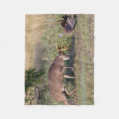 Witstaartslang vecht tegen Wilde Turkije Fleece Deken (Voorkant)