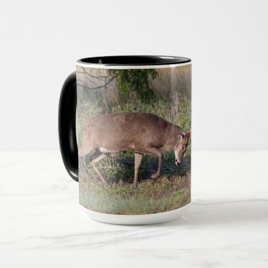 Witstaartslang vecht tegen Wilde Turkije Mok (Voorkant links)