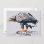 WitstaartZee Eagle 2001 Briefkaart (Voorkant / Achterkant)