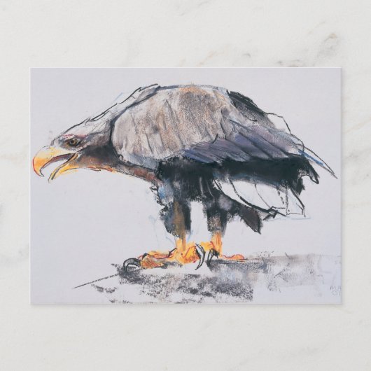 WitstaartZee Eagle 2001 Briefkaart (Voorkant)