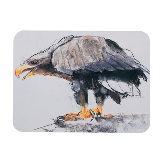 WitstaartZee Eagle 2001 Magneet (Horizontaal)