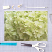 Witte achtergrond van hydrangeenbloem tissuepapier (Craft)