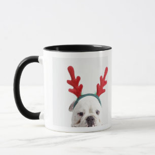 witte achtergrond, witte stierenhond, rood mok