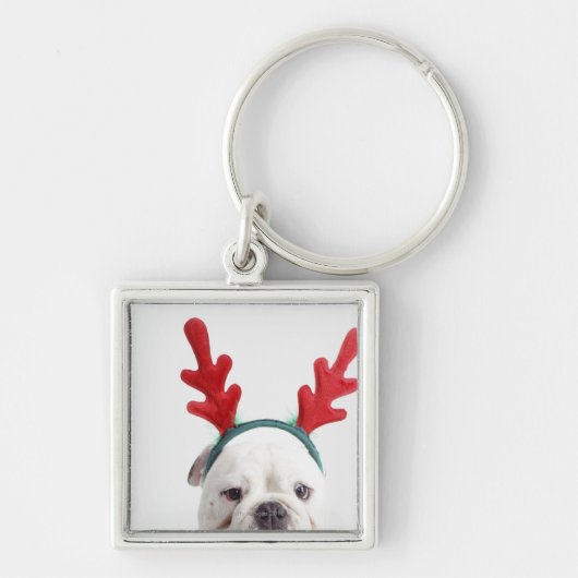 witte achtergrond, witte stierenhond, rood sleutelhanger (Voorkant)