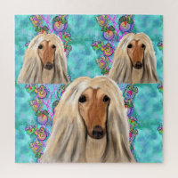 Witte Afghaanse windhond    